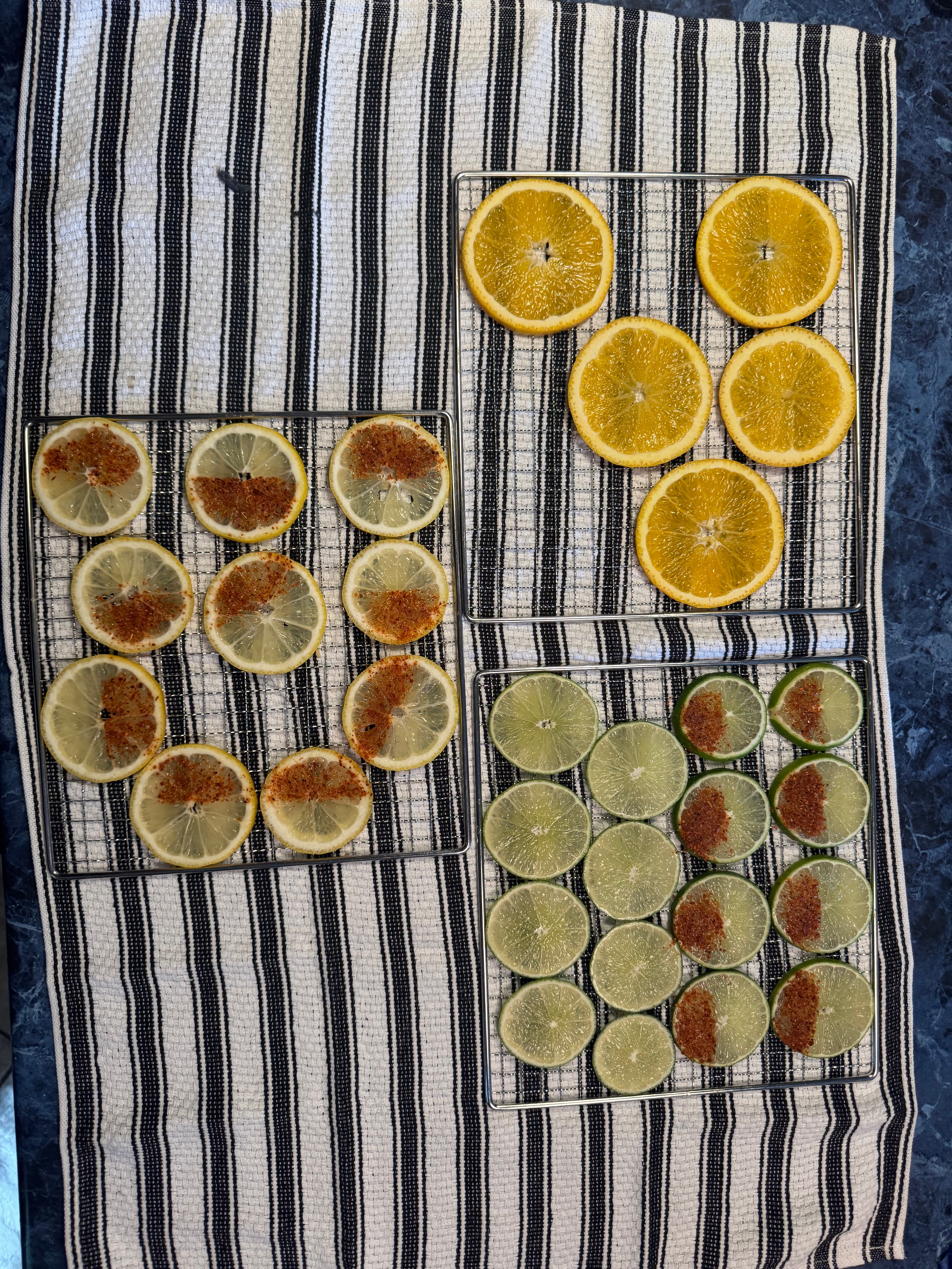 Dehydrated citrus slices — oranges, limes, and lemons — arranged on cooling racks